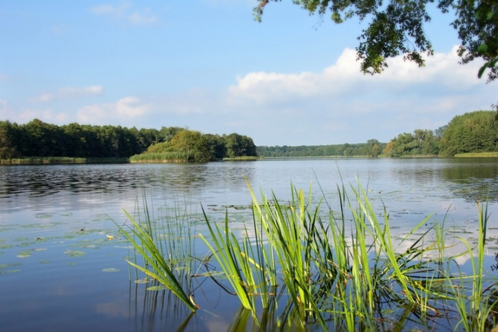 Działka Sprzedaż Warnice 1