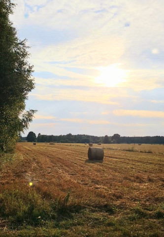 Działka Sprzedaż Wólka Kościeniewicka 4