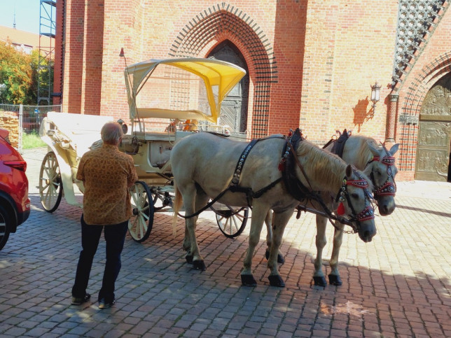 Mieszkanie Sprzedaż Szczecin Śródmieście-Centrum Grodzka 12