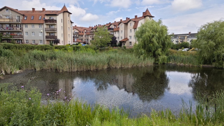 Mieszkanie Sprzedaż Szczecin Warszewo Złotowska 1