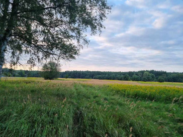 Działka Sprzedaż Szczecin Wielgowo Żywiczna