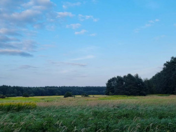 Działka Sprzedaż Szczecin Wielgowo Żywiczna