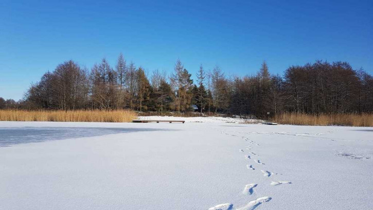 Działka Sprzedaż Sielsko 8