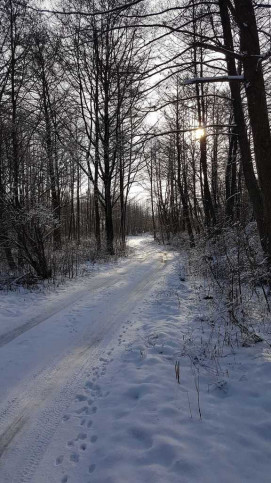 Działka Sprzedaż Sielsko 9