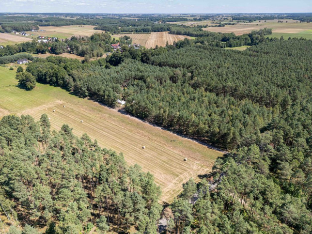 Obiekt Sprzedaż Nowina 42