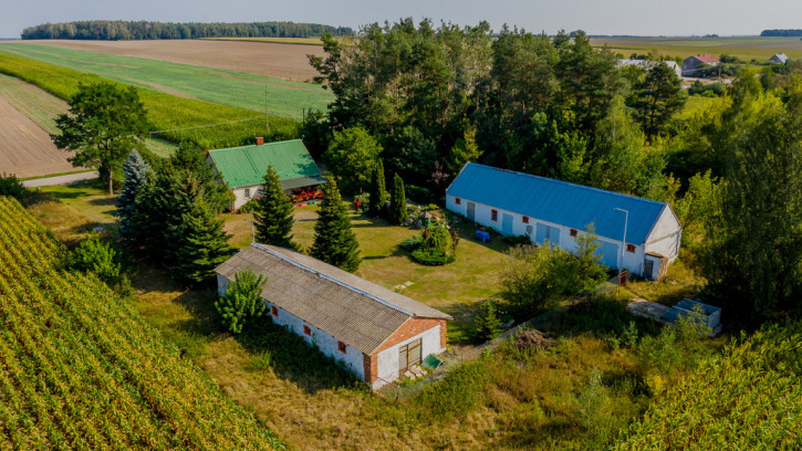 Dom Sprzedaż Bałki 19