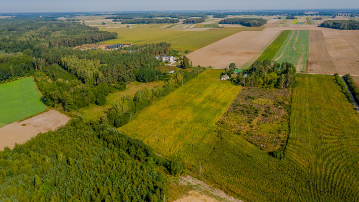 Dom Sprzedaż Bałki 26