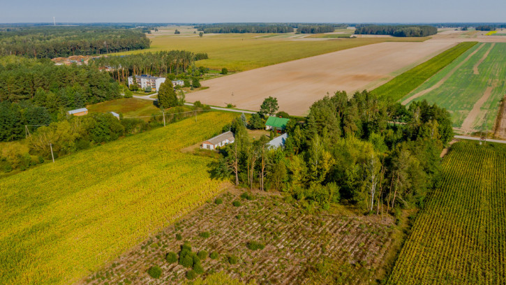 Dom Sprzedaż Bałki 27