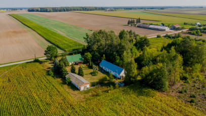 Dom Sprzedaż Bałki