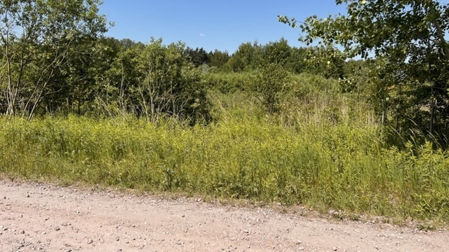 Działka Sprzedaż Nowy Prażmów 3