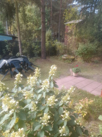 Działka Sprzedaż Piaski Duchowne