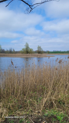 Działka Sprzedaż Zieleniewo 2