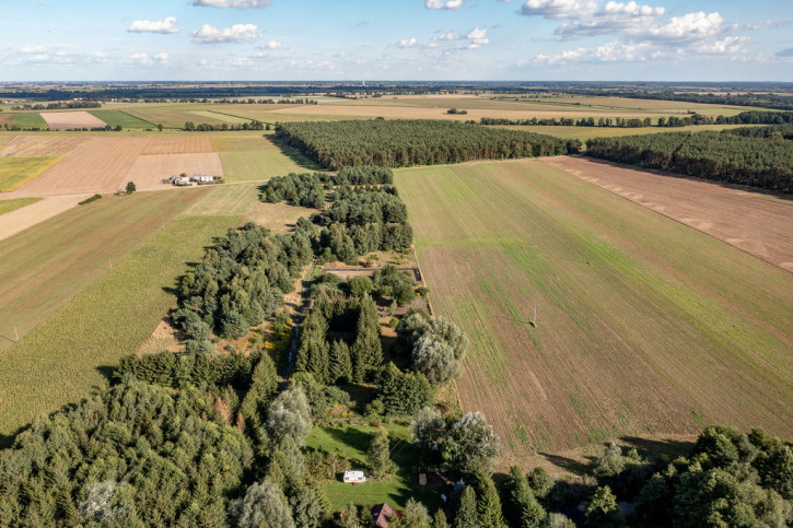 Działka Sprzedaż Bednary 11