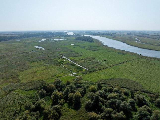 Działka Sprzedaż Stary Błeszyn 14