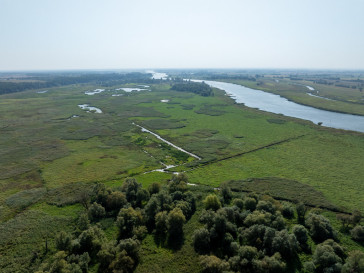 Działka Sprzedaż Stary Błeszyn