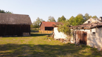 Dom Sprzedaż Piwnice Wielkie