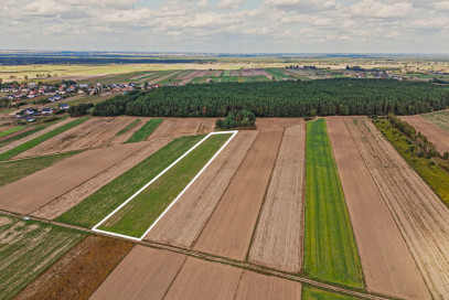 Działka Sprzedaż Emilianów