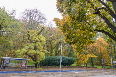 Mieszkanie Sprzedaż Szczecin Śródmieście Jacka Malczewskiego