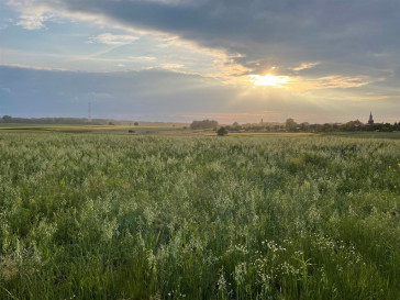 Działka Sprzedaż Przęsocin