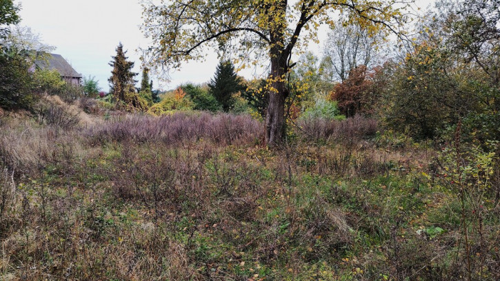 Działka Sprzedaż Szczecin Podjuchy 3