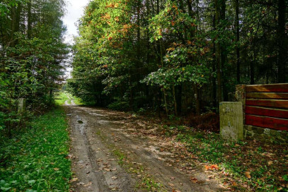 Działka Sprzedaż Waleriany