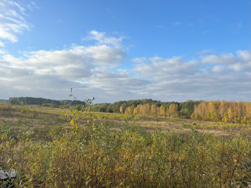 Dom Sprzedaż Skolity