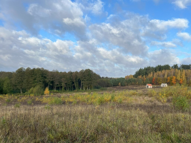 Dom Sprzedaż Skolity 10