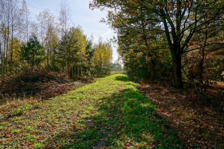 Działka Sprzedaż Puszcza Mariańska Akacjowa 1