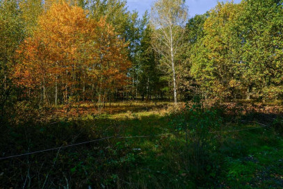 Działka Sprzedaż Puszcza Mariańska Akacjowa