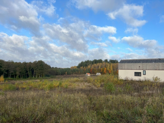 Działka Sprzedaż Skolity 8