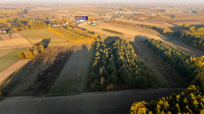 Działka Sprzedaż Karolew