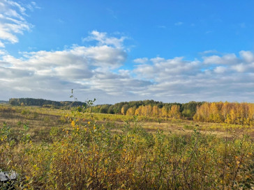 Działka Sprzedaż Skolity