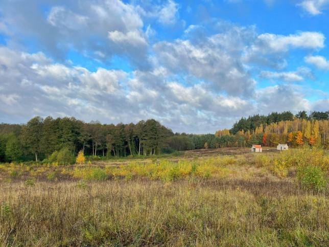 Działka Sprzedaż Skolity 3