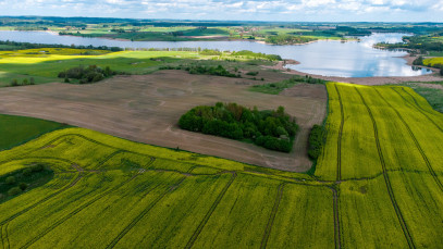 Działka Sprzedaż Radostowo