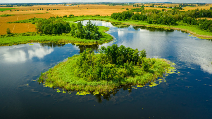 Działka Sprzedaż Buniewice 2