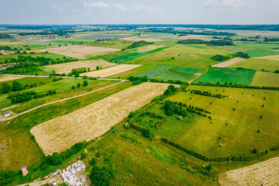 Działka Sprzedaż Rusinowo