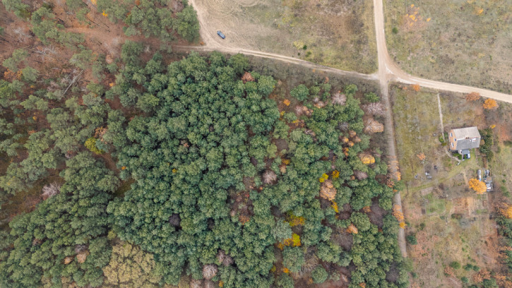 Działka Sprzedaż Siestrzeń Nad Lasem 3