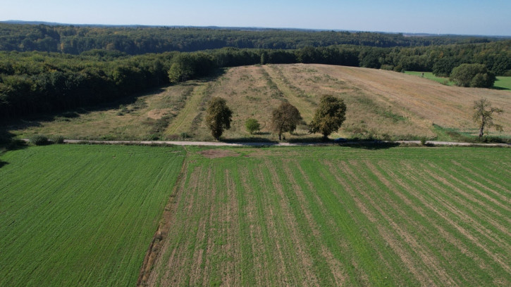 Działka Sprzedaż Dargocice 4