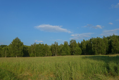 Działka Sprzedaż Grzepnica