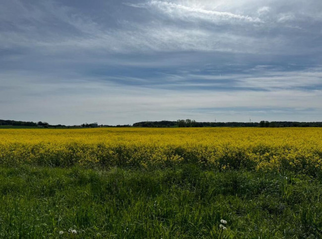 Działka Sprzedaż Trzęsacz 2