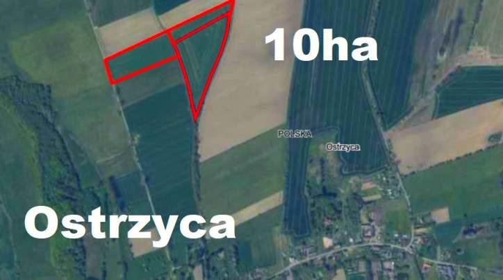 Działka Sprzedaż Ostrzyca 1