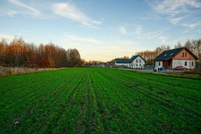 Dom Sprzedaż Chrzanów Mały