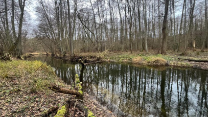 Działka Sprzedaż Szczecin Płonia