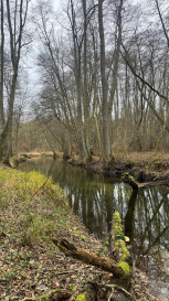 Działka Sprzedaż Szczecin Płonia