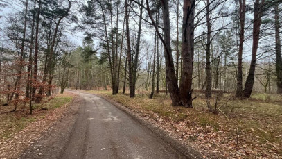 Działka Sprzedaż Szczecin Płonia