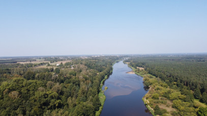 Działka Sprzedaż Paulinowo Królowej Bony