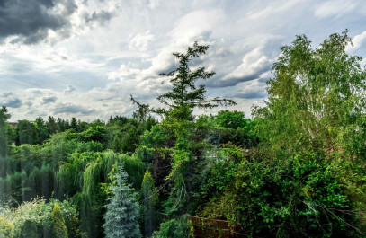 Dom Sprzedaż Luboń