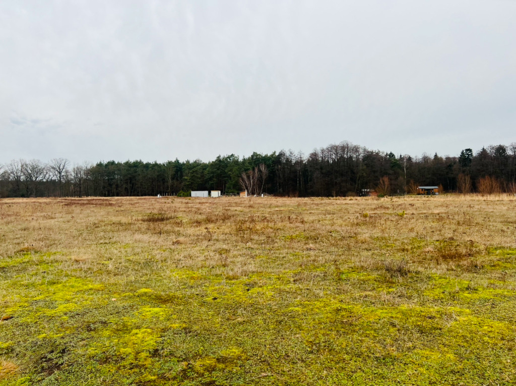 Działka Sprzedaż Grzepnica