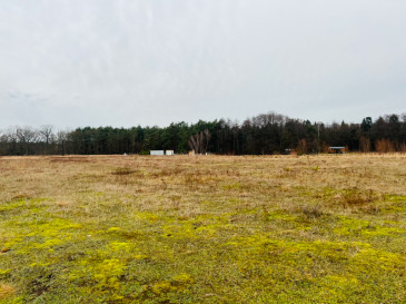 Działka Sprzedaż Grzepnica