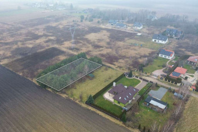 Działka Sprzedaż Wąsy-Kolonia Spokojna